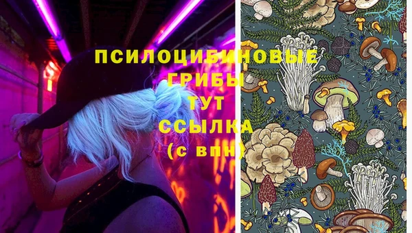 спайс Балахна