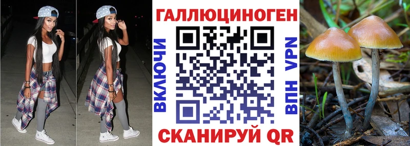 Псилоцибиновые грибы Magic Shrooms  где продают   Ульяновск 