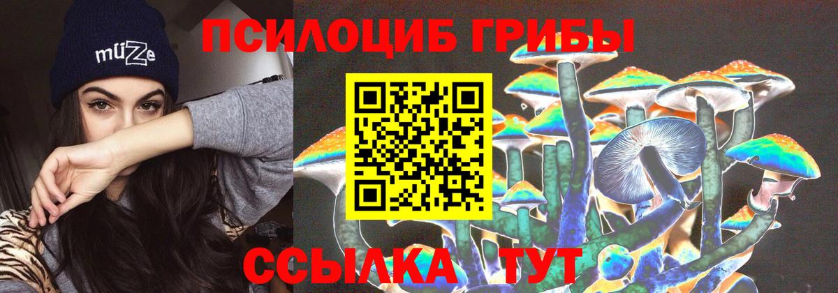 Ульяновск  Галлюциногенные грибы Psilocybine cubensis  Вход с VPN  наркотики  Псилоцибиновые грибы Psilocybine cubensis 